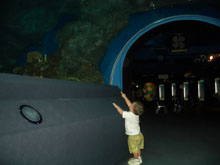 Ryan November 2004